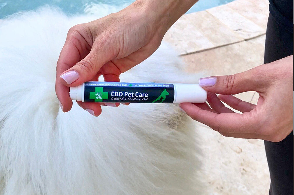 CBD Pet Care Transdermal Pen | Organic CBD for Pets | GMO-Free CBD for Pets